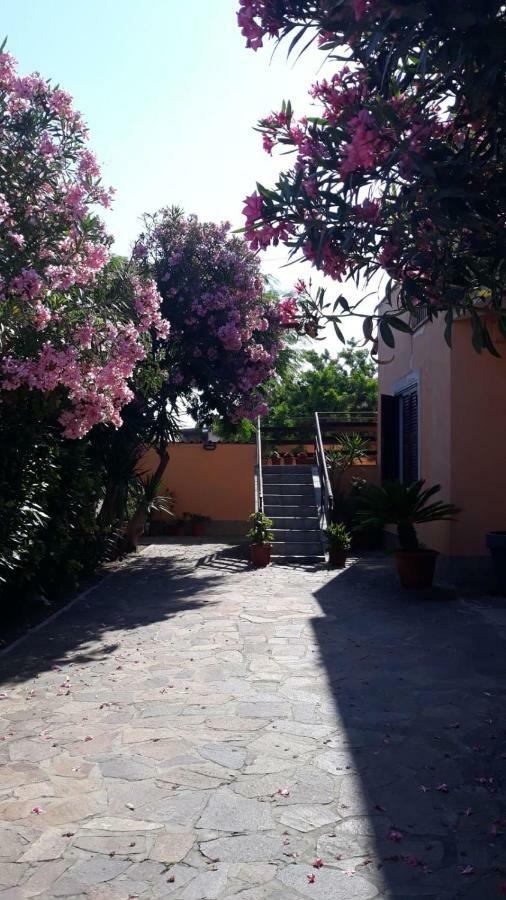 B&B Fiumicino Airport Resort Bagian luar foto