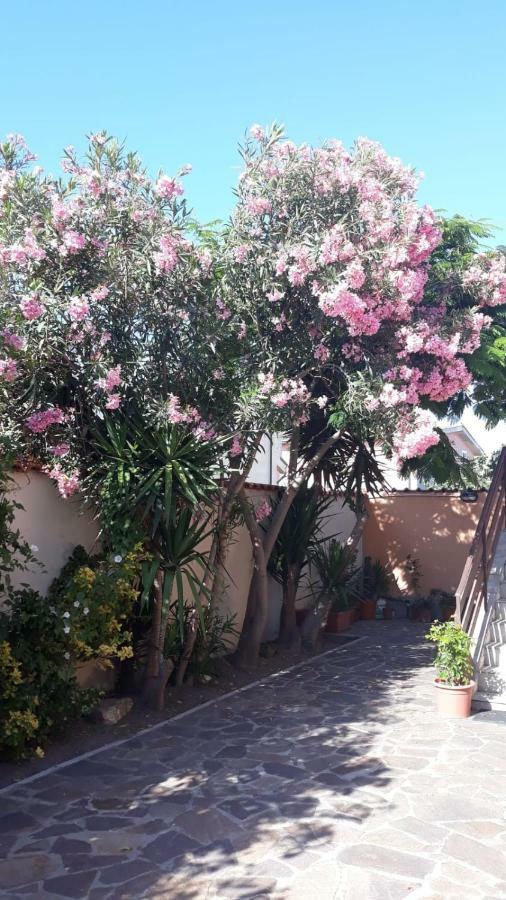 B&B Fiumicino Airport Resort Bagian luar foto