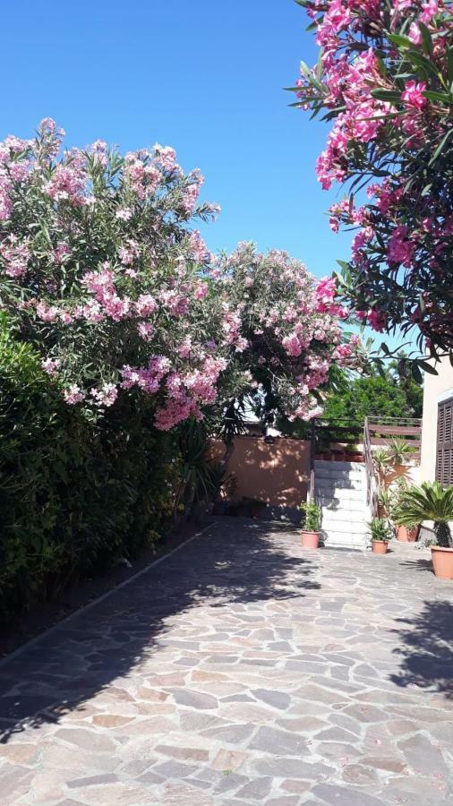 B&B Fiumicino Airport Resort Bagian luar foto